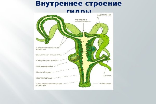 Рабочие ссылки и зеркала кракен