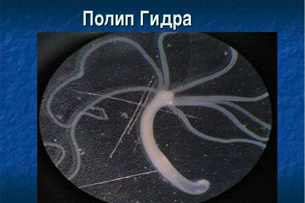 Kraken даркнет рынок ссылка