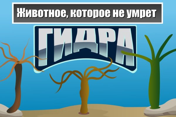 Как зарегаться на кракене