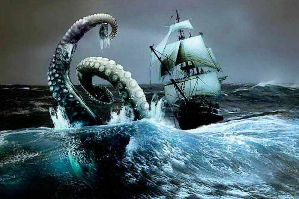 Kraken kraken link24 info